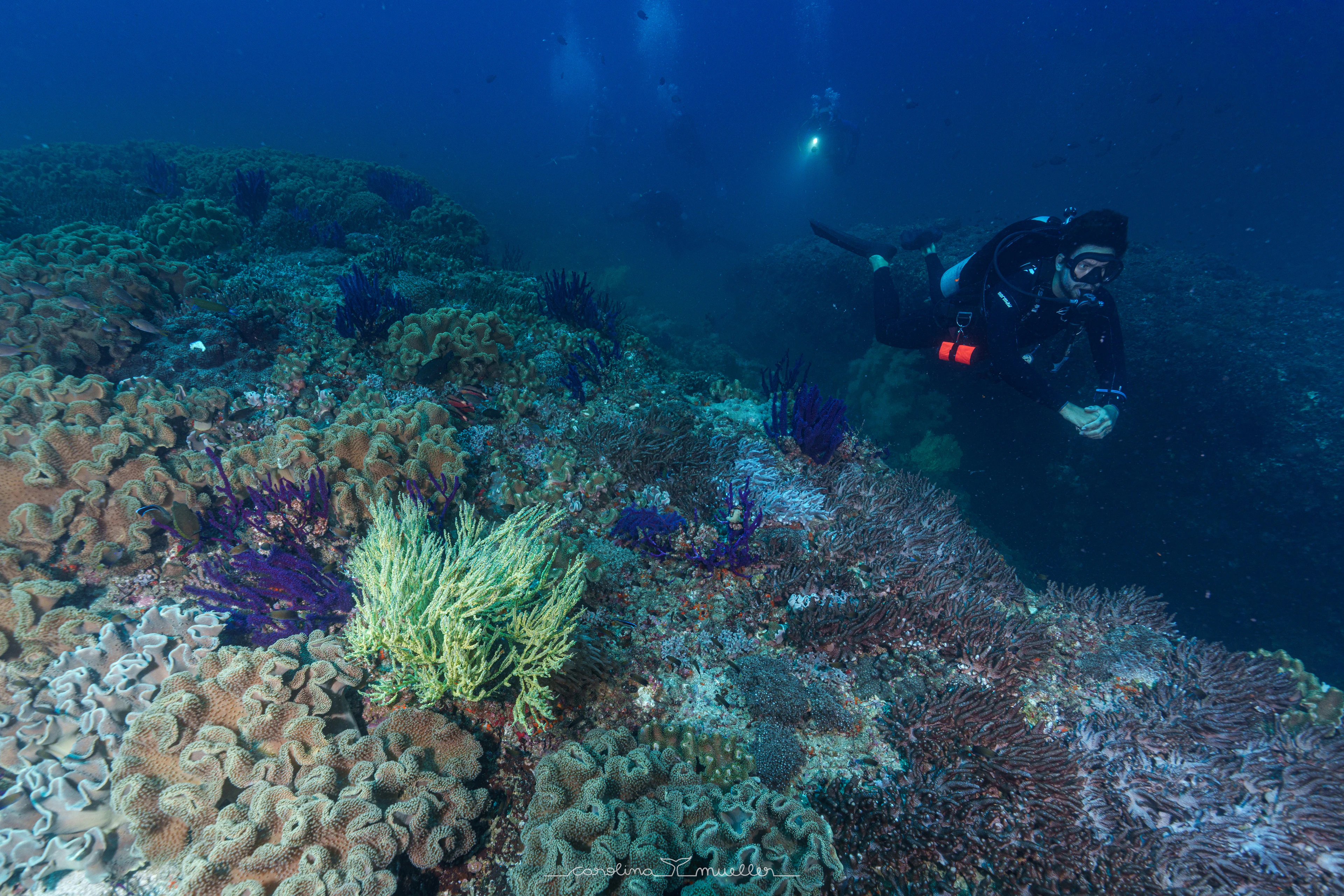 Advanced Open Water