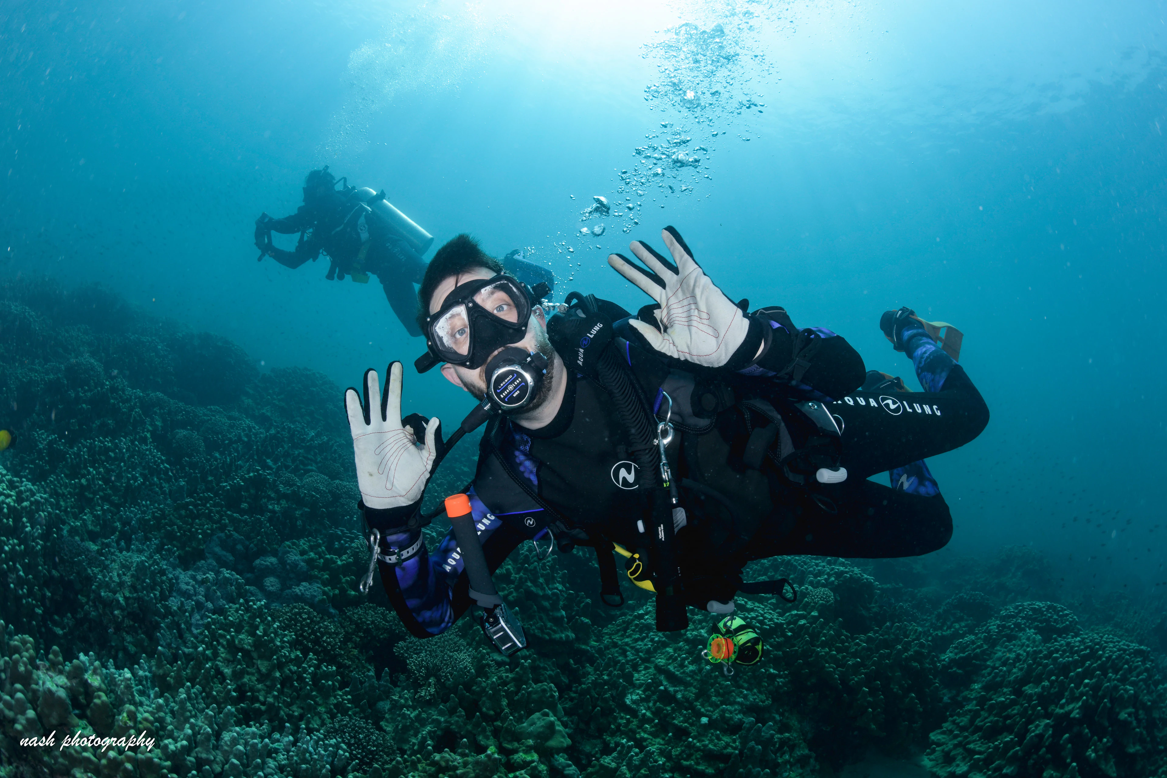 Dive Trips