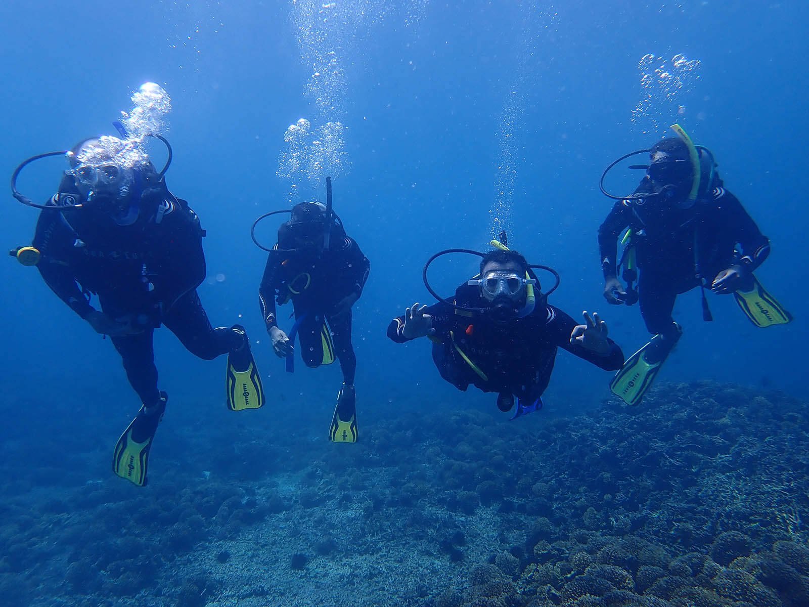 PADI Courses, Muscat (Oman) MolaMola Diving Center