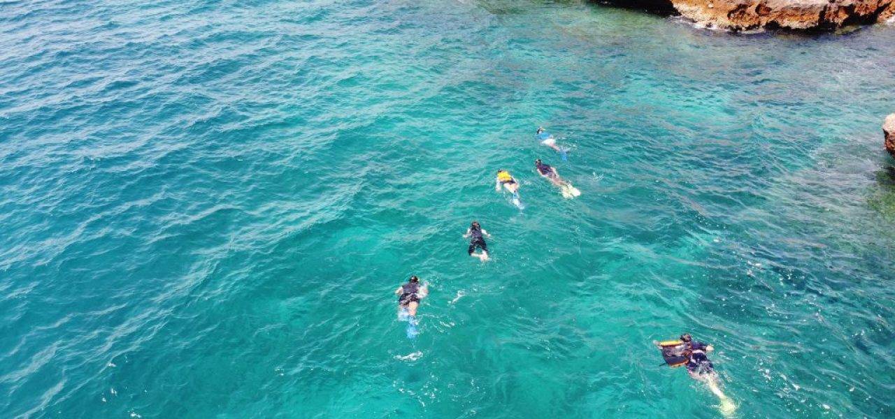 Snorkeling in the waters of Muscat Cover