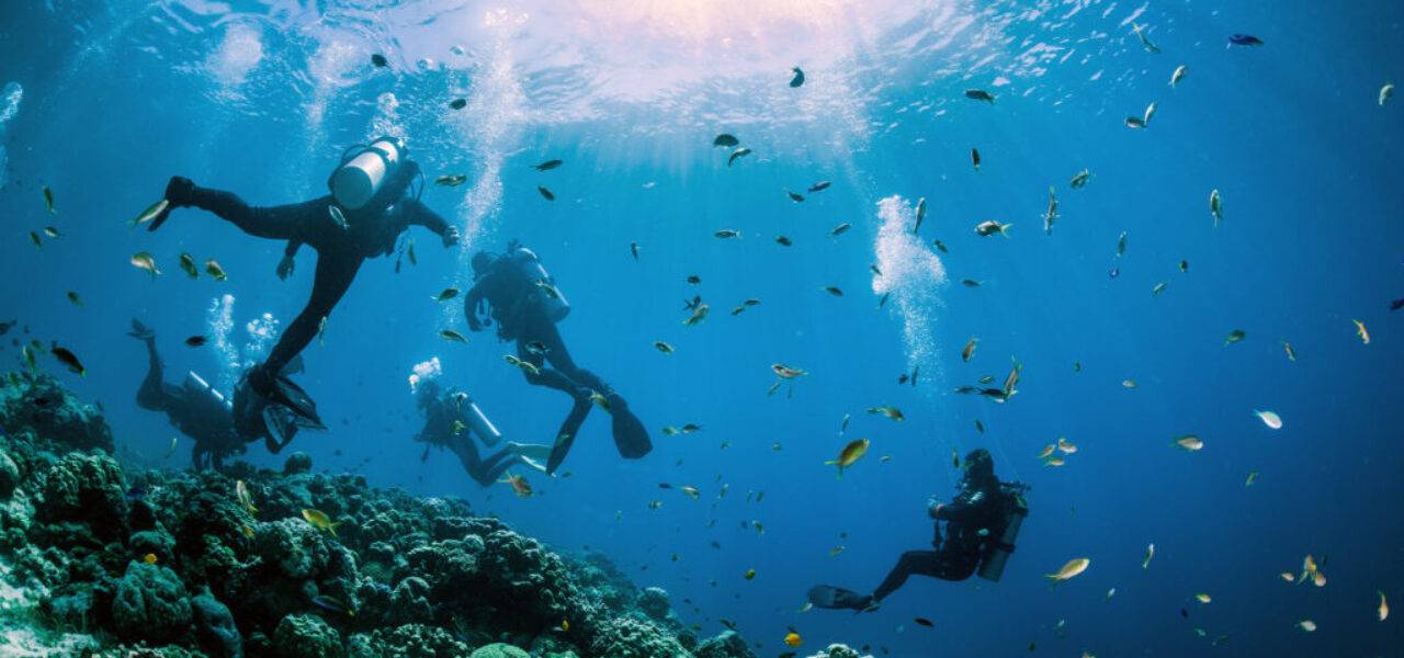 Best Diving in Oman